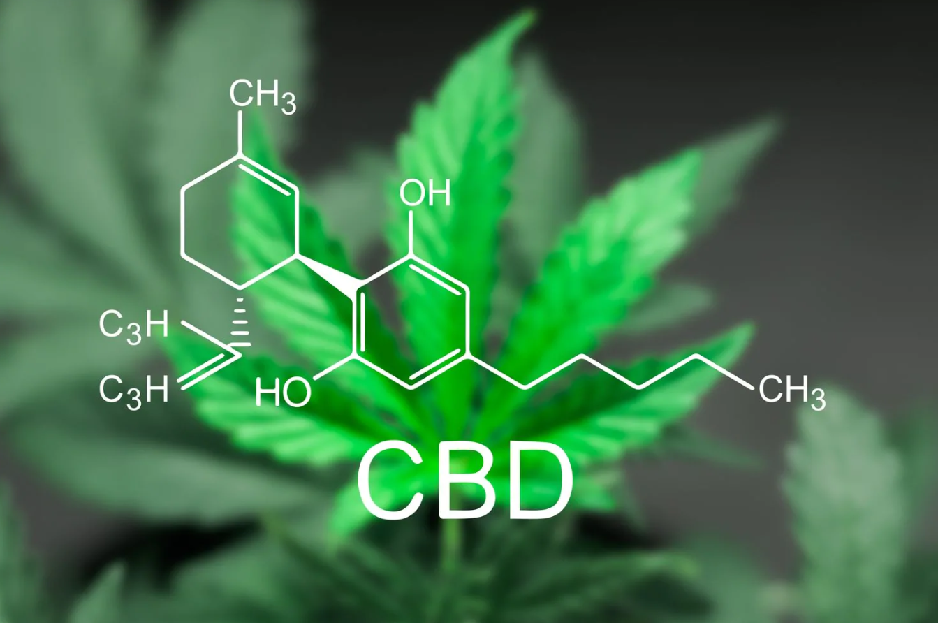 CBD Is Great for Sleep, But Will It Make You Tired During the Day?